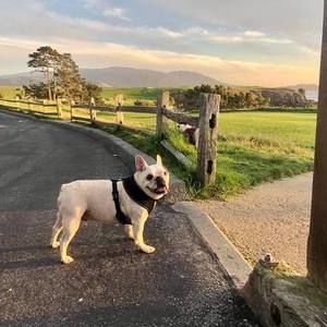 Meet your Posher, Vanessa